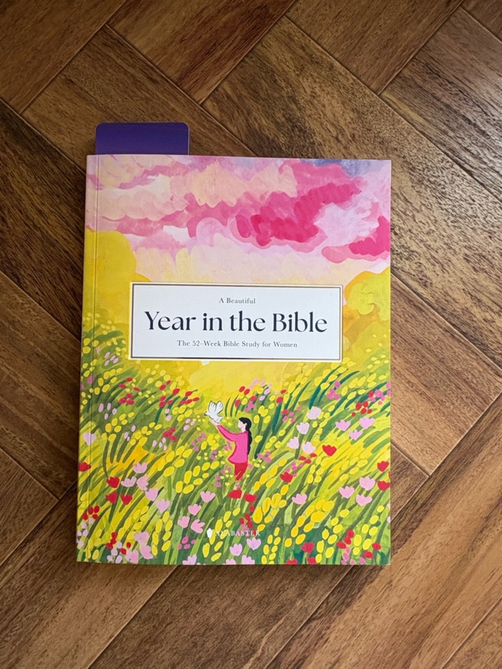 A Beautiful Year in the Bible: the 52-week Bible Study for Women Paperback